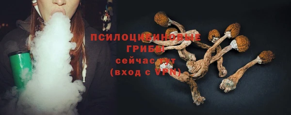 крисы Михайловка