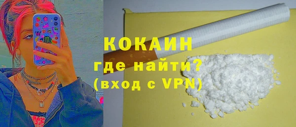 индика Медвежьегорск