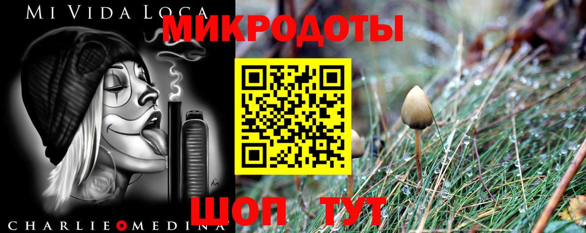 Псилоцибиновые грибы Psilocybe Павловский Посад