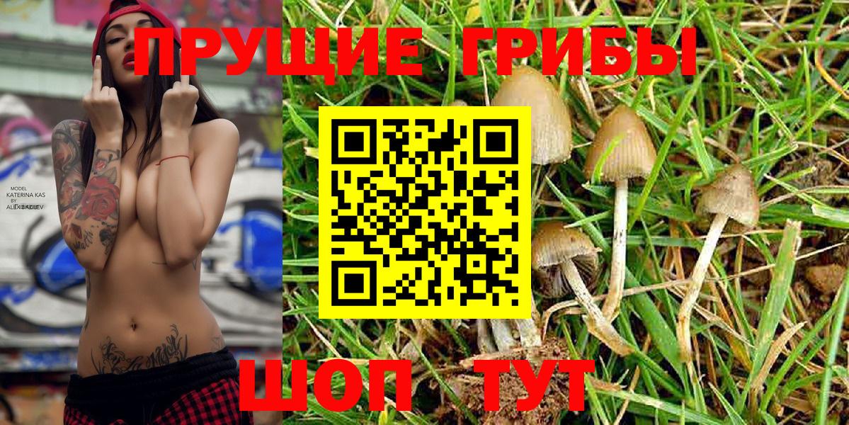 Галлюциногенные грибы ЛСД  Псилоцибиновые грибы Cubensis  Павловский Посад 