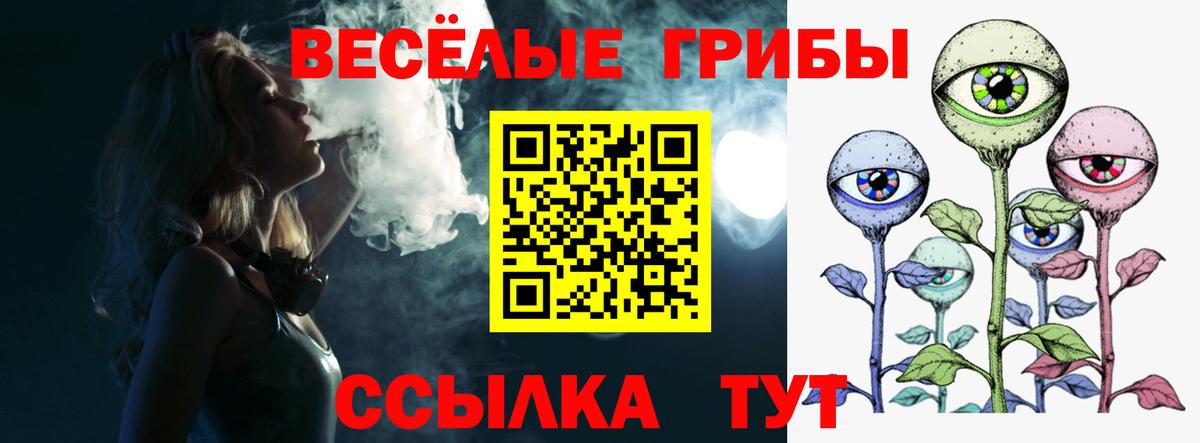 дарнет шоп  Псилоцибиновые грибы GOLDEN TEACHER  Галлюциногенные грибы Psilocybe  Вход с VPN  Павловский Посад 