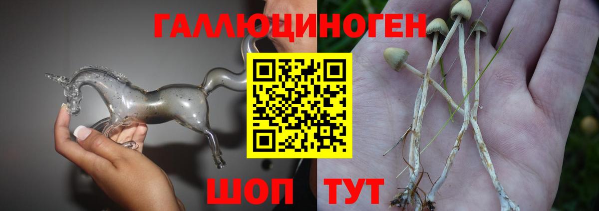 Галлюциногенные грибы GOLDEN TEACHER Павловский Посад